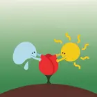 The Little Pink Rose