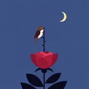 The Nightingale and the Rose