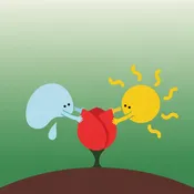 Die kleine rosa Rose