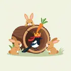 Porkkanakruunun mysteeri