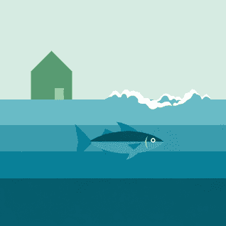 Le Pêcheur et sa Femme par Frères Grimm