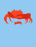 Le Jeune Crabe et sa Mère par Ésope