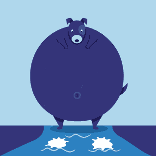 Les Chiens et les Peaux par Ésope