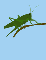 Les Fourmis et la Cigale par Ésope