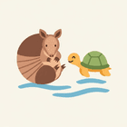 Bagaimana Armadillo Bermula