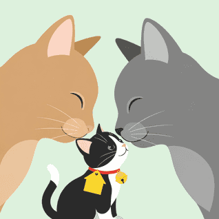 Whiskers Together by Storybot