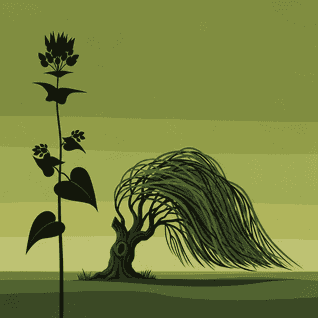 The Buckwheat by H.C. Andersen