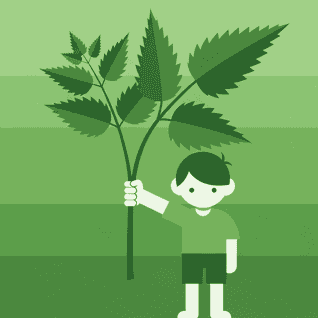 The Boy and the Nettle by Aesop