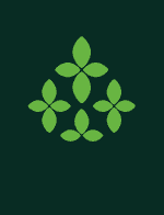 The Boy and the Nettle by Aesop