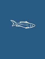 The Fisherman and the Little Fish by Aesop