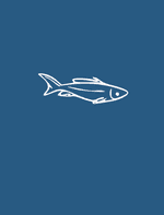The Fisherman and the Little Fish by Aesop