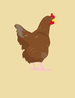 The Little Red Hen by Unknown