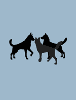 The Dogs and the Hides by Aesop