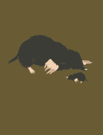 The Mole and his Mother by Aesop