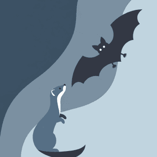 The Bat and the Weasels by Aesop