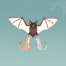 The Bat and the Weasels by Aesop