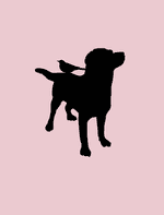 Hunden och sparven av Bröderna Grimm